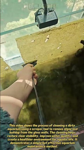 Aquarium Glass Cleaner Tool! Fast Algae Removal #aquarium #cleaning #fish