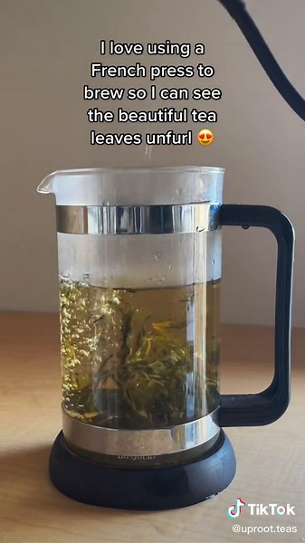 How to Make the Perfect Cup of Green Tea