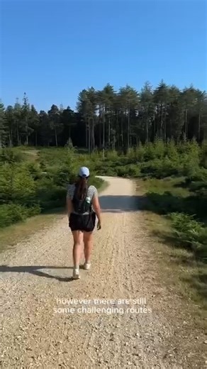 3.1K views · 1K reactions | Come for a walk with us in the New Forest...