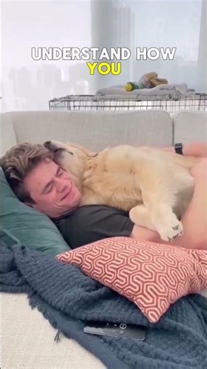 Dogs understand humans emotions #viralvideo #dogs