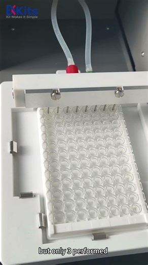 5 Deadly ELISA Washing Mistakes! #3 Is Ignored by 90% of Researchers