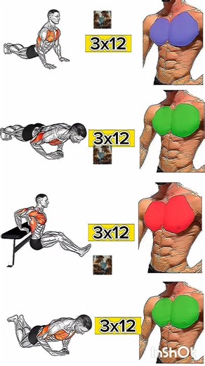 ​4 Bodyweight Exercises for a Sculpted Upper Body 🔥#youtube#short#video#fitness#