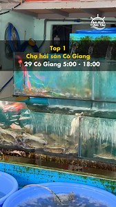 Đi Vũng Tàu thì mua hải sản ở đâu chất lượng và giá thành hợp lý #vungtau #dulichtinhbariavungtau | Du Lịch Tỉnh Bà Rịa Vũng Tàu