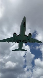 Aruba Spring Break ✈️ 🏝️ #shorts #plane #aruba