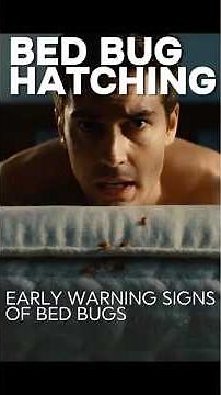 Why Bed Bugs Hatch So Fast (And What You Can Do Before It Gets Worse)