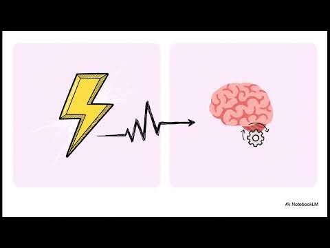 Neurobiological Bases of Emotion Networks