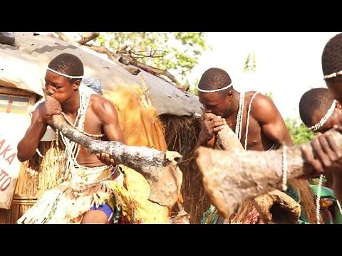 Central African brotos, a musical tradition under threat
