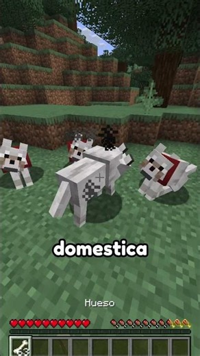 That's a lot of dogs in Minecraft