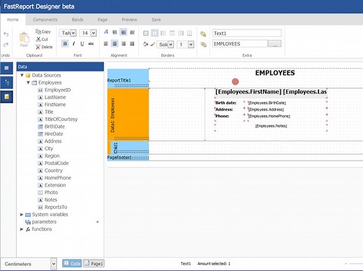 FastReport 入门：WinForms 和WPF 版本的快速指南（1）-- 框架演示