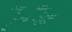 The electric current in a circular coil of 2 turns produces a m... | Filo