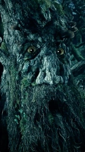The Ents Didn't Want War... Until It Reached Them.