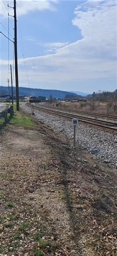 Container freight train around the curve. #train #trains #railroad | train videos