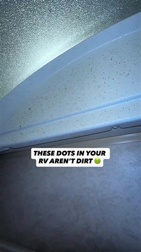 Ever notice those weird little dots on your RV shower skylight...