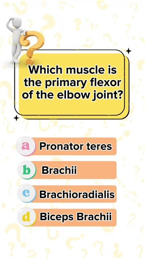 Upper Limb Anatomy Quiz: Test Your Knowledge Now