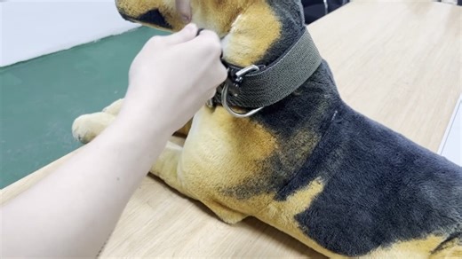 Watch Auto Lock Frog Clip Heavy Duty Dog Leash on Amazon Live