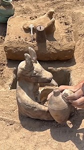 We found a goat-shaped box / Look what we found in it#metaldetecting #adventuretime #nature #archeology #treasures #history #treasurehunter #Adventure #californiagold #treasurehunt #treasurehunting #metaldetectors #golddigger #metaldetectingfinds #adventure #coins | 7 wonders