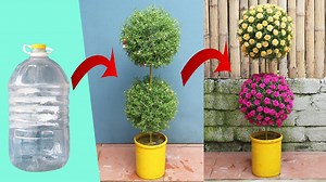 156K views · 4.8K reactions | Beautiful Creative Vertical Garden, Watch Here: https://youtu.be/SLQZRv10LE4 | Diy Garden World | Facebook