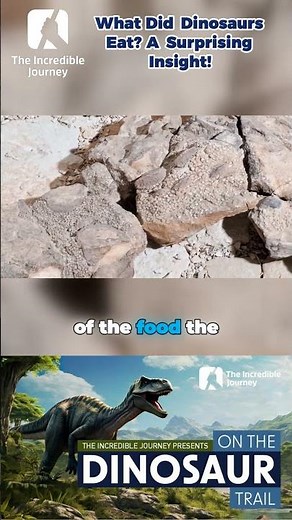 Uncovering the Diet of Dinosaurs! 🌿🦖