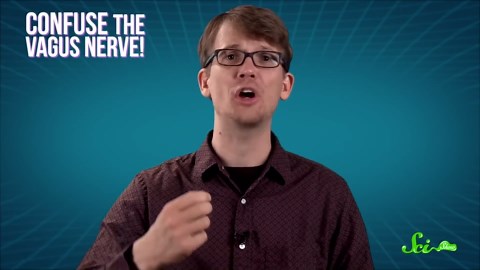 The world's most asked questions | Compilation