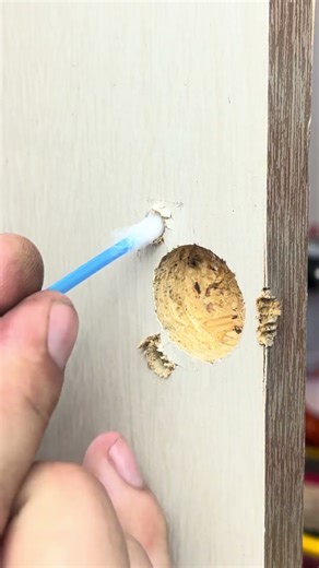 Quick Solution Restore Your Door Hinge #DIY #HomeImprovement #HingeRepair #FastFixes #RenovationTips