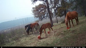 32K views · 4.2K reactions | Had a pretty good ride out to pick up...