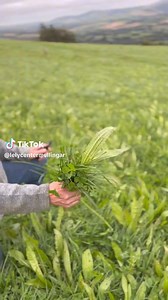 3.6K views · 17 reactions | Noel Tyrell farming in Co. Wicklow takes us through his farm and how content he is farming with his robotic system, alongside some beautiful views ! #lelymullingar #lely #dairy #irishdairy #dairycow #innovation #technology | Lely Center Mullingar Robotic Milking | Facebook
