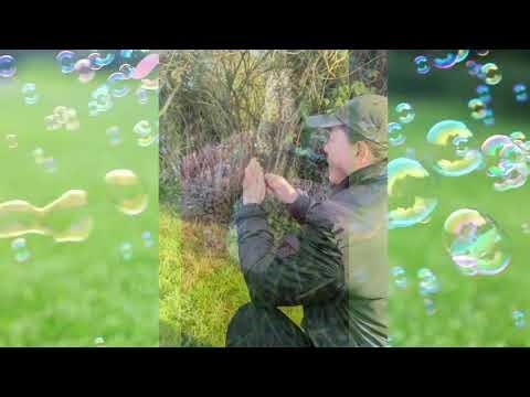 I carved a hair fork with whimsical crow/ ich habe eine Haarforke mit krähe geschnitzt