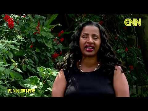 Ethiopia: ቆይታ ከአማራጭ የኖቤል ተሸላሚዋ የትነበርሽ ንጉሴ ጋር/2017s 'Alternative Nobel Prize' Laureate