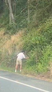 9.1K views · 150 reactions | Pale Ausi morning ukiona python ikicross road unamsaidie kwa kubeba藍藍 | Gen Edwin Kiprotich | Facebook