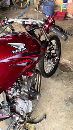 Tiger Pigs Dance: A Unique Cultural Performance