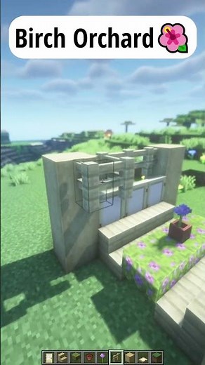 Minecraft Birch Orchard 🏡 #shorts