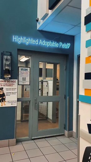 4.5K views · 914 reactions | Zorra has been here since May, which in...