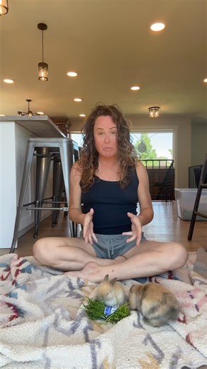 Rabbit Pals on Instagram: "🐇🍄 Bunny Pickup Challenge – Mario Edition Seeing how many times the buns will let me scoop them before they’re done with me. 🐢 Koopa – 4 pickups before heading back to his shell. 🦖 Yoshi – 7 pickups, curious the whole time. 🍄 Toad – 10 pickups, calm and steady. 🍑 Peach – 10 pickups, stayed composed start to finish. The Gen 4.5 babies are the current leaders — but why? Is it just because they’re still in that 3–5 week sweet spot for handling… or are they destined 