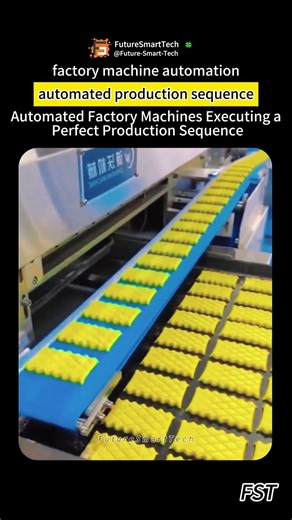 Automated Factory Machines Executing a Perfect Production Sequence