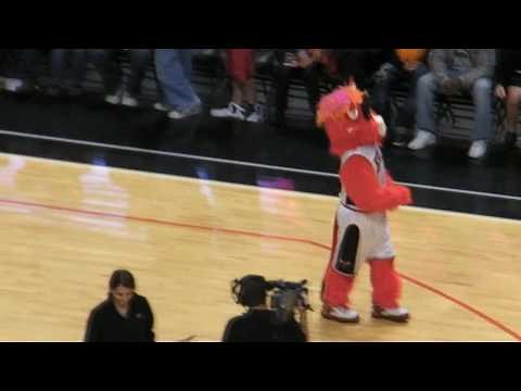 Benny The Bull DANCING