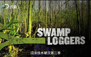 沼泽伐木硬汉 Swamp Loggers S2