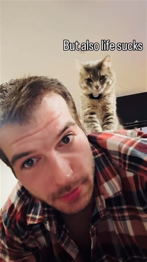 Adam Hagenbuch on Instagram: "Literally this is the exact conversation I have with my therapist every week. Except I’m the cat #cat #therapy #therapycat #therapist"