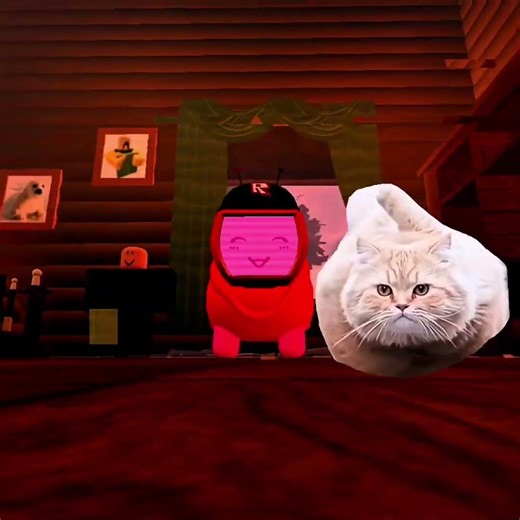 Spinning cat meme say what edit... :D #roblox #minecraft #meme