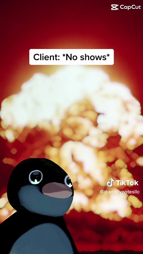 TherapyNotes on TikTok