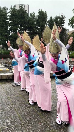 北浦和阿波踊り #日本祭典 #ダンス #祭り #阿波踊り #dance #夏祭り #演舞 #flute #awaodori