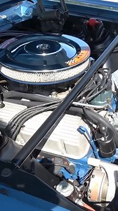 1966 Ford Mustang Shelby GT350