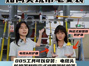 电力防护罩、绝缘防护罩、透明防护罩、可带电安装防护罩、10kV防护罩、10kV绝缘防护罩、10kV透明防护罩、10kV电力透明绝缘防护罩、电力透明防护罩