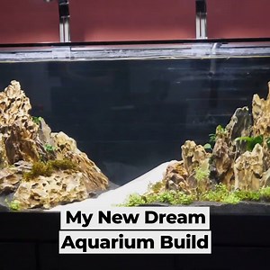 32K views · 962 reactions | Aquascaping My Very First LARGE Freshwater Aquarium! 朗 | CoralFish12g | Facebook