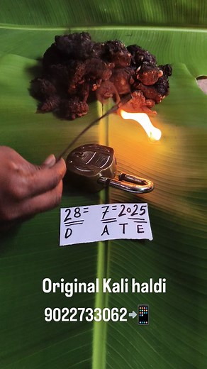 15 reactions | Original Kali haldi black turmeric testing video OK call me (9022733062 | Kunal.rajput126 | Facebook
