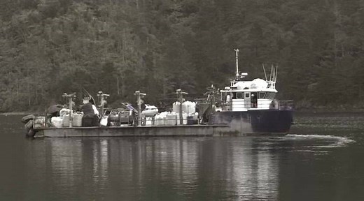 14K views · 142 reactions | Mussel Farming in the Marlborough Sounds...