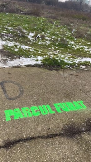 Aici a fost o pădure / aici ar putea fi o pădure on Instagram: "Un ecosistem care se reface. Toti avem nevoie de o pauza💤🦔🌳"