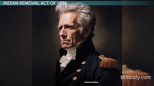 The Trail of Tears & U.S. President | History & Responsibility