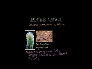 Excretion in Plants and Animals | Excretion | Life Science | Khan Academy