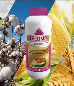 [Hot Item] Fungicide Nematicide Fluopyram 500g/L Sc for The European Market