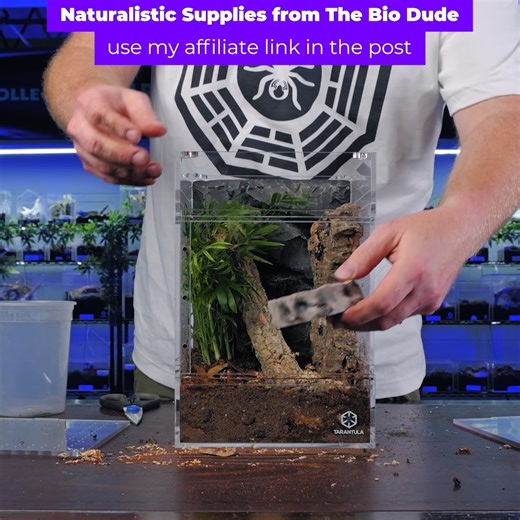 8.7K views · 207 reactions | Building an enclosure for the Avicularia...